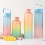 wholesale 10oz-16oz colored borosilicate glass water bottle