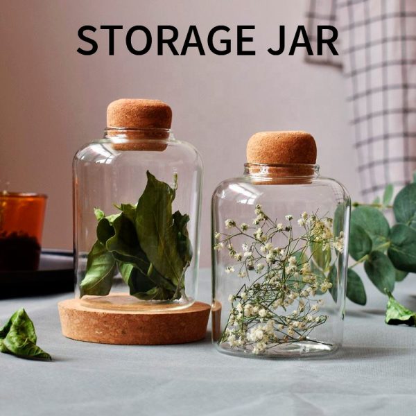 Glass Terrarium Jar with Wooden Lid