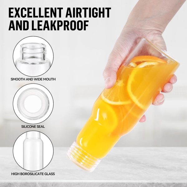 Portable Glass Water Bottle